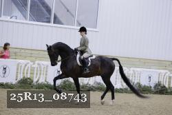 25R13_08743 thumbnail