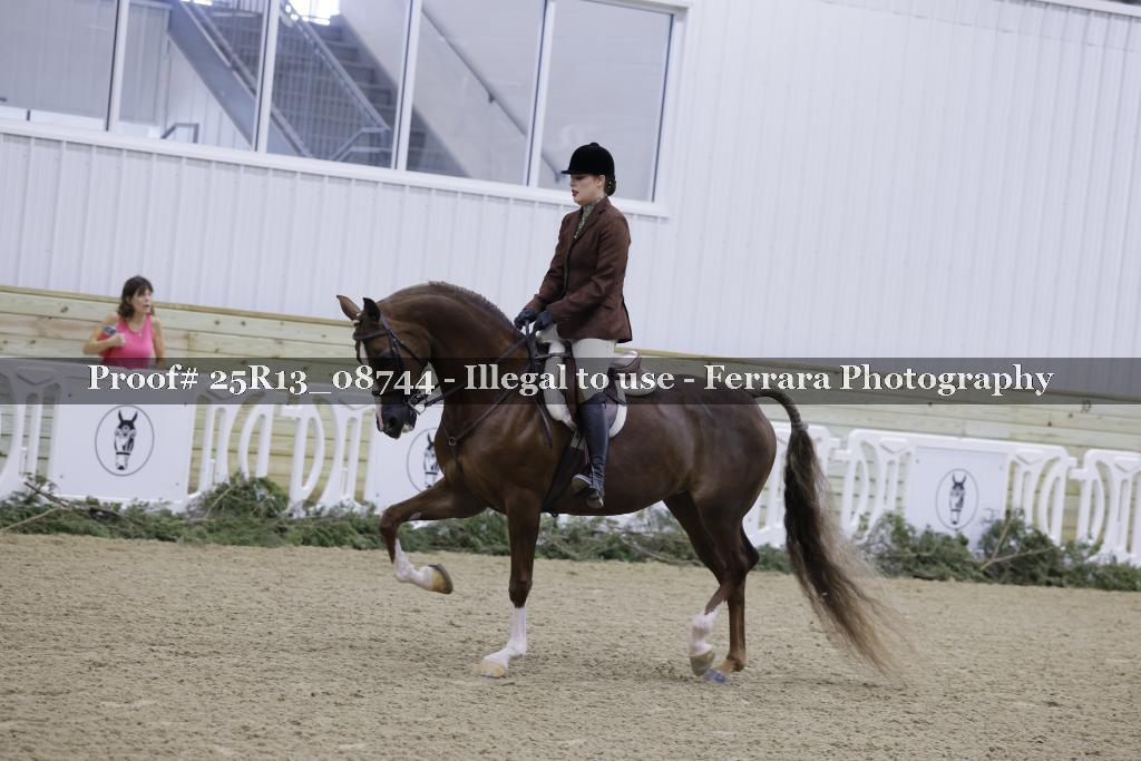 Proof Number 25R13_08744