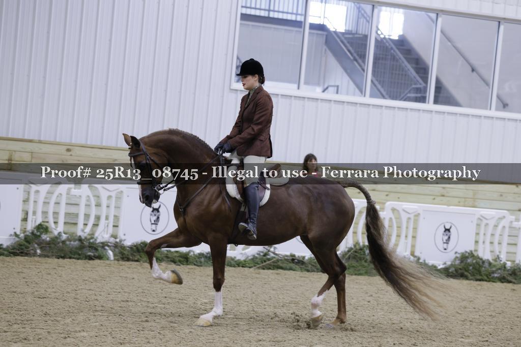 Proof Number 25R13_08745
