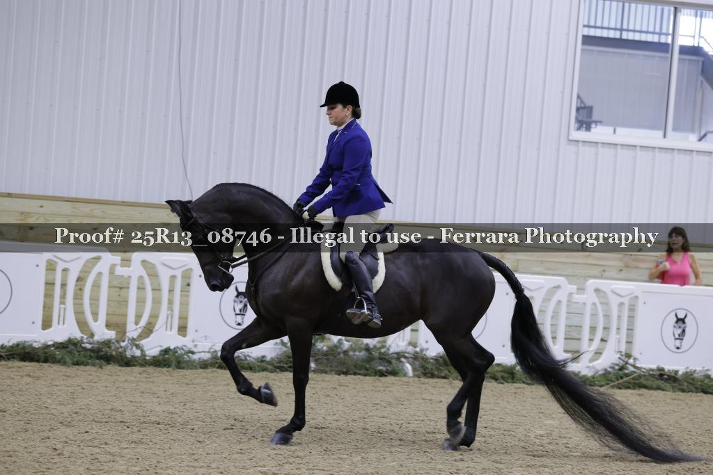 Proof Number 25R13_08746