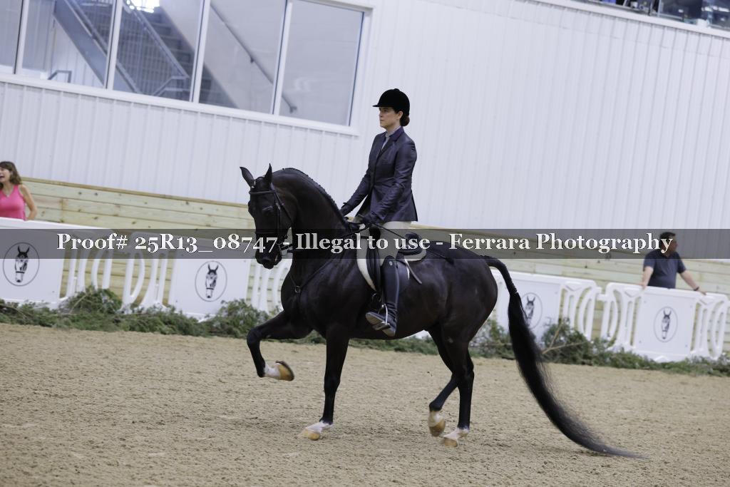 Proof Number 25R13_08747