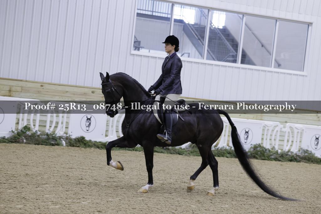 Proof Number 25R13_08748