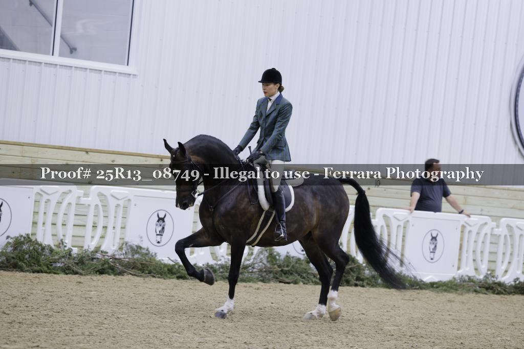 Proof Number 25R13_08749