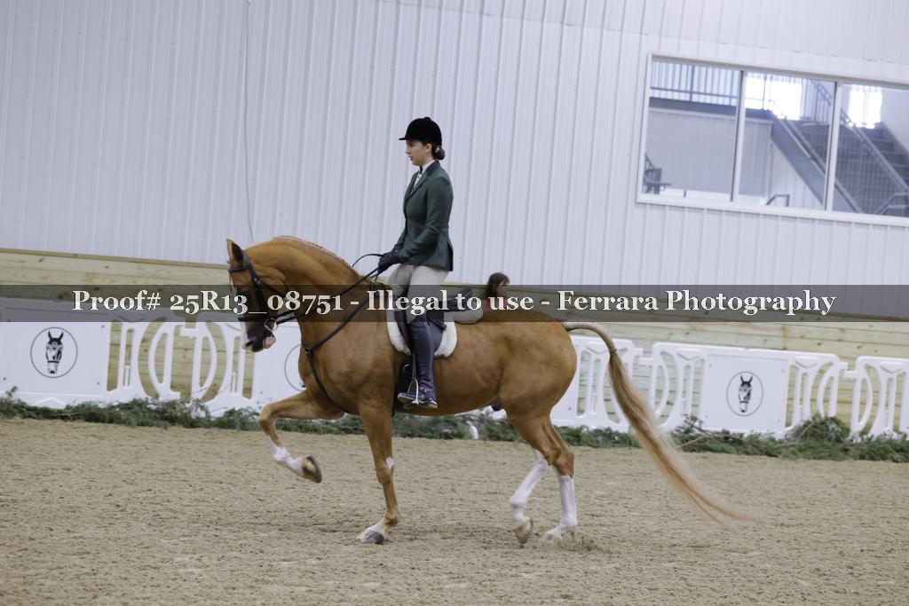 Proof Number 25R13_08751