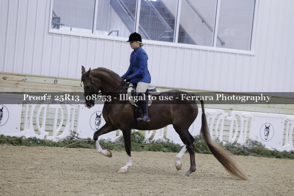 Proof Number 25R13_08753