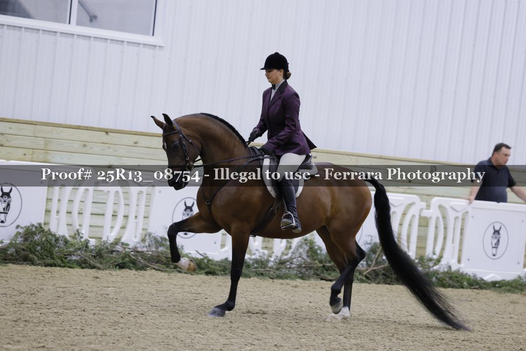 Proof Number 25R13_08754
