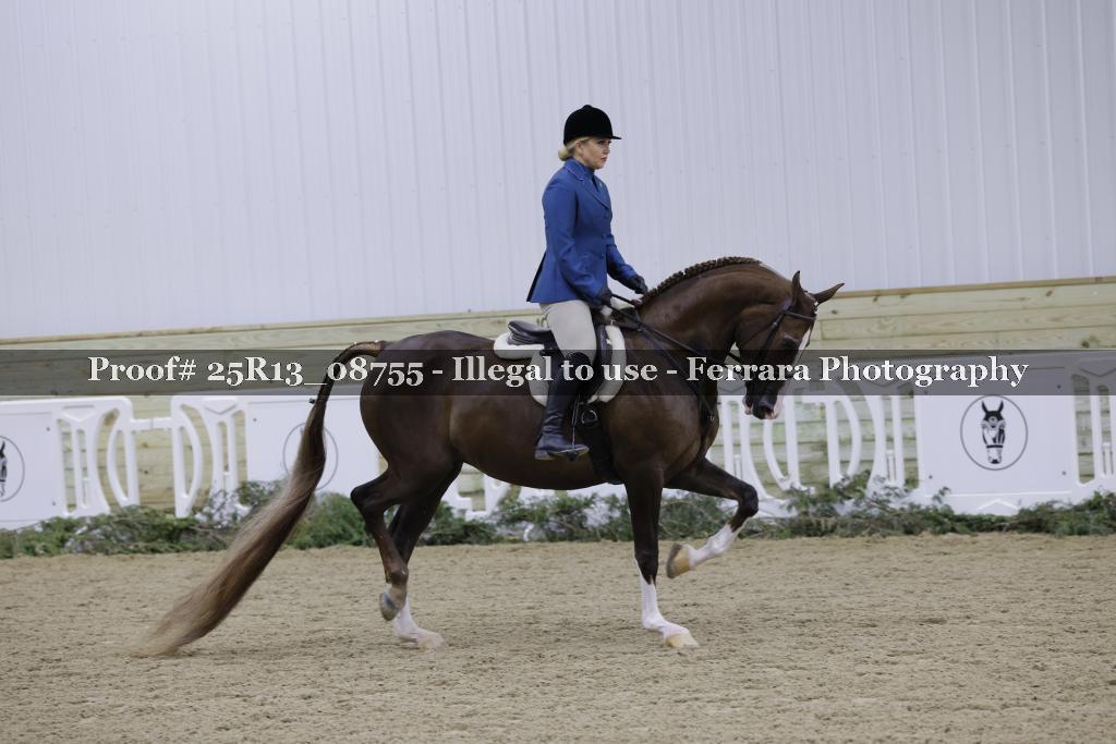 Proof Number 25R13_08755
