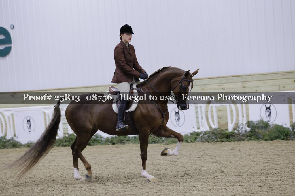 Proof Number 25R13_08756