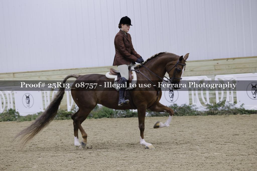 Proof Number 25R13_08757