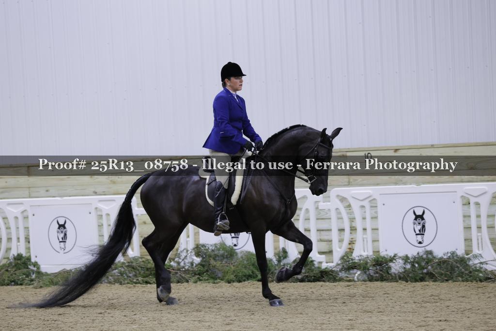 Proof Number 25R13_08758