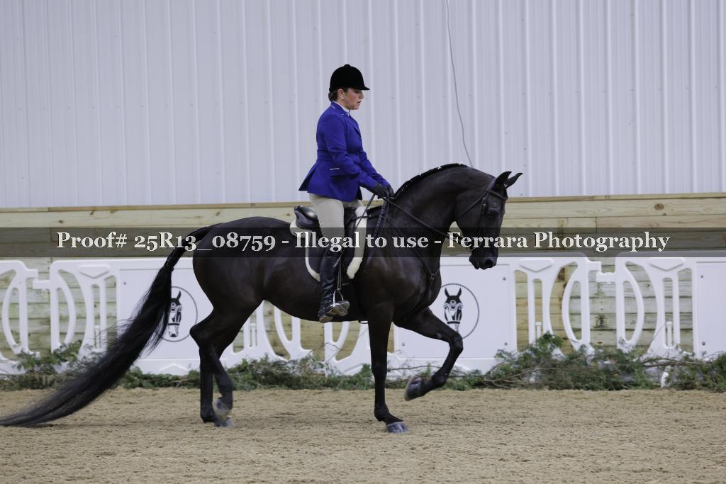 Proof Number 25R13_08759