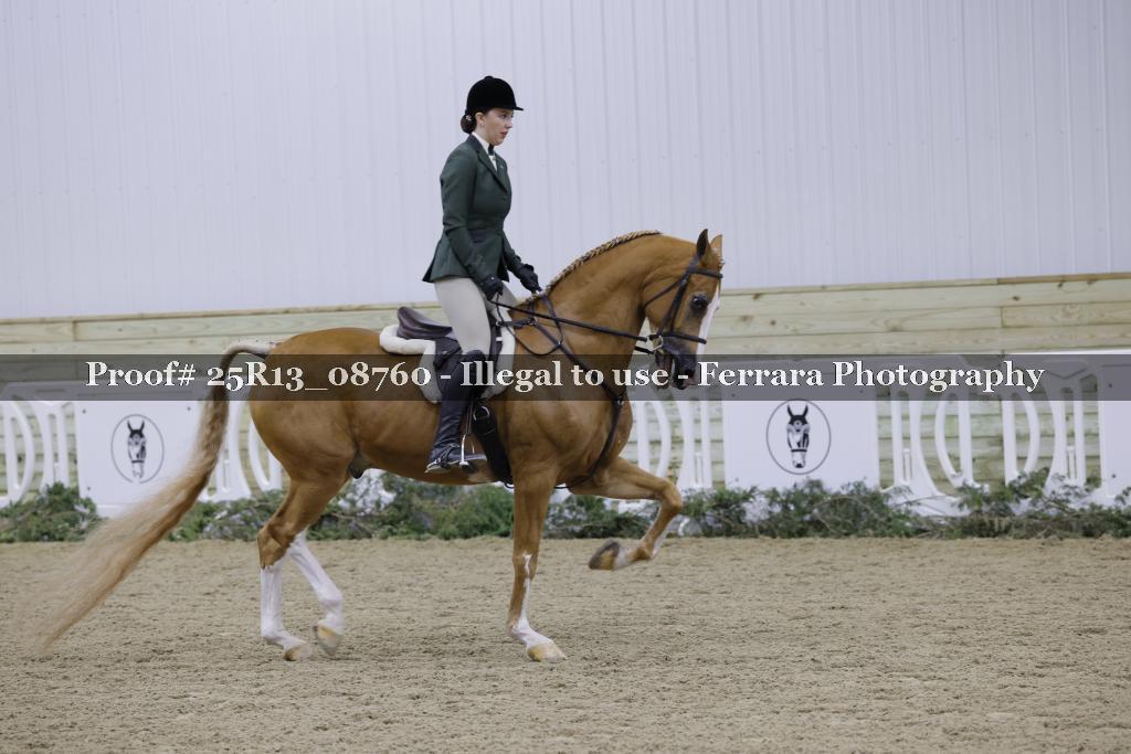 Proof Number 25R13_08760