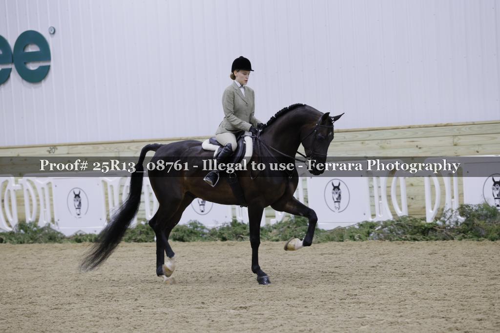 Proof Number 25R13_08761