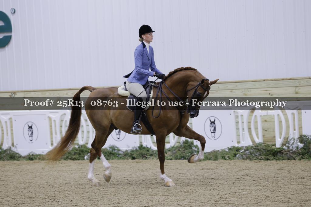 Proof Number 25R13_08763