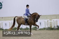 25R13_08763 thumbnail