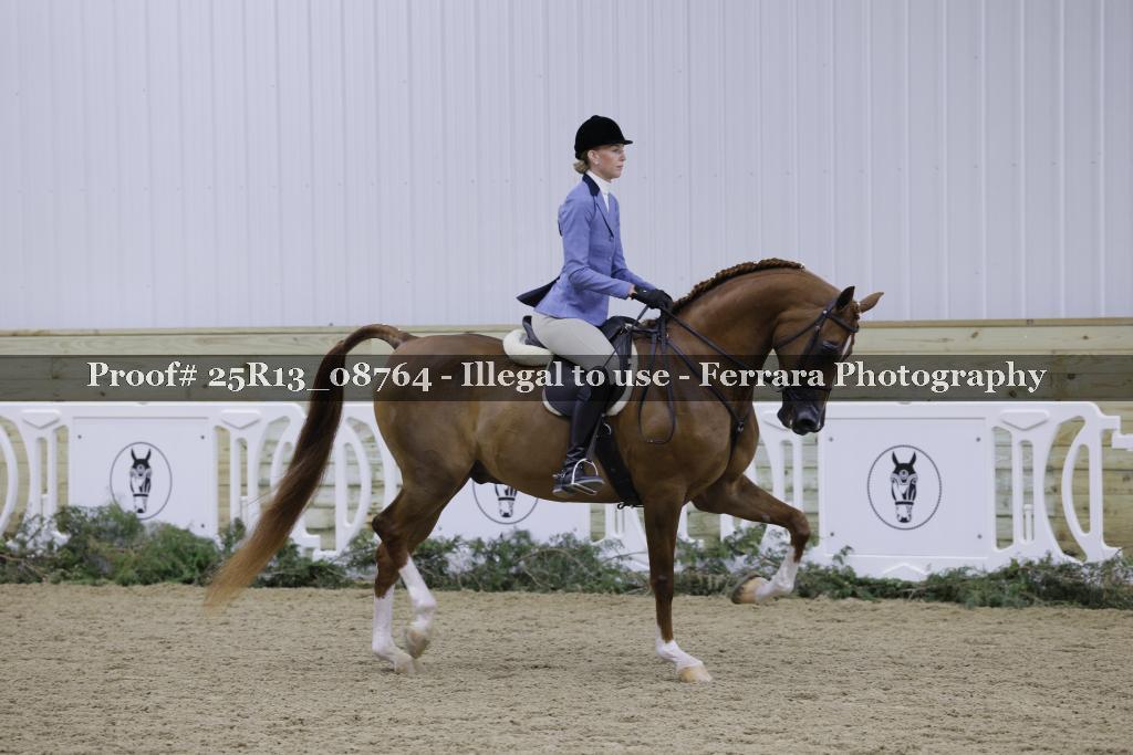 Proof Number 25R13_08764