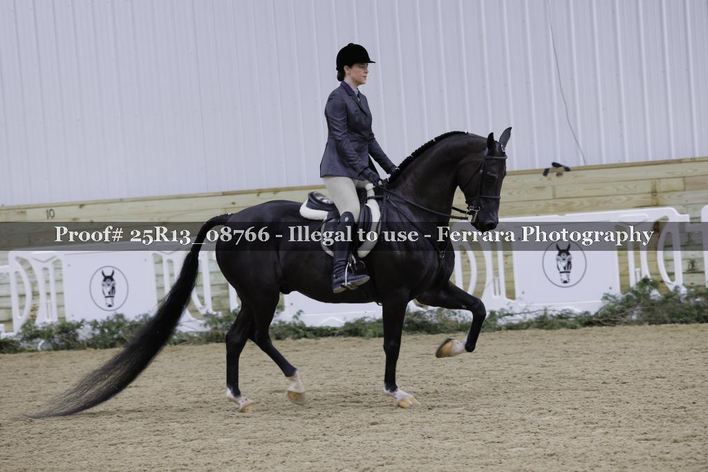 Proof Number 25R13_08766