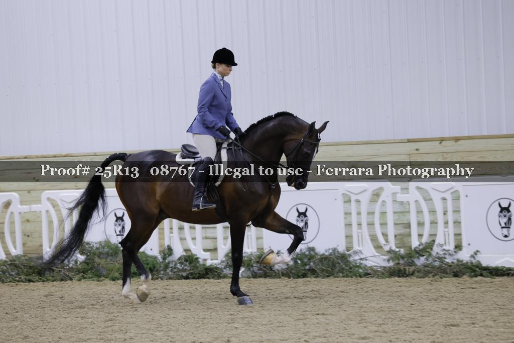 Proof Number 25R13_08767