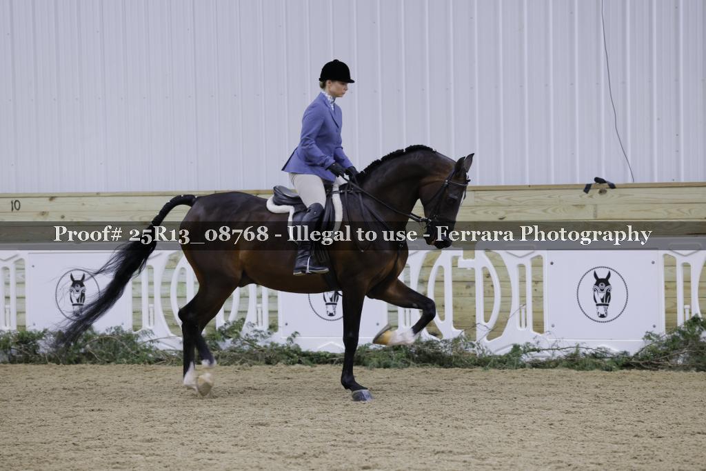 Proof Number 25R13_08768