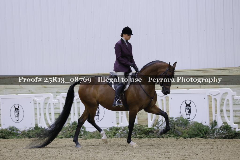 Proof Number 25R13_08769
