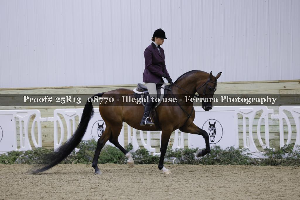 Proof Number 25R13_08770