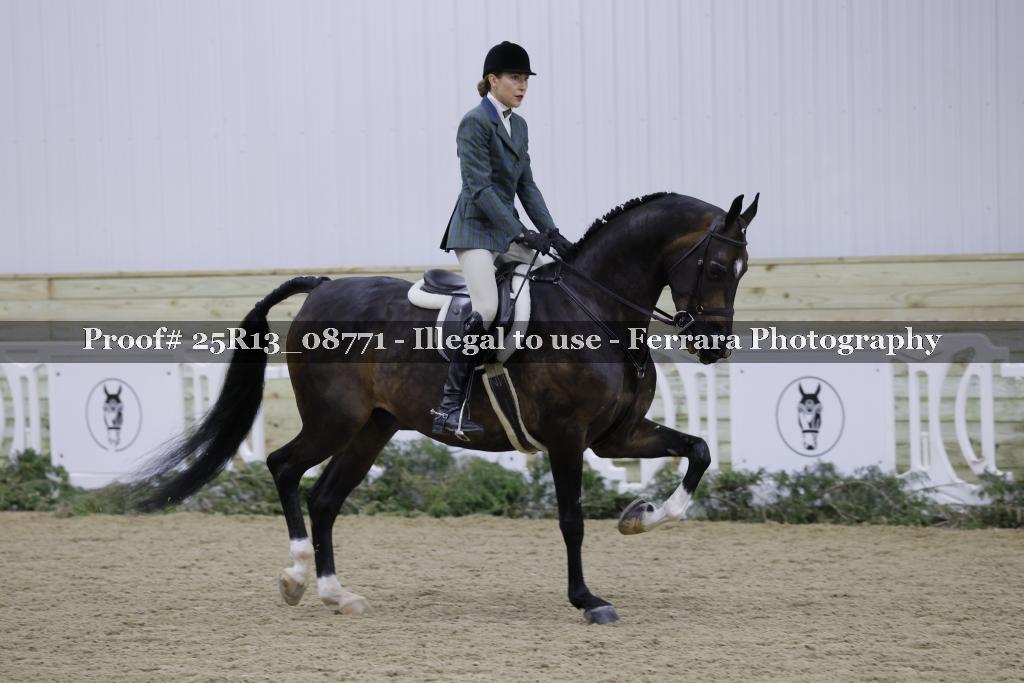 Proof Number 25R13_08771