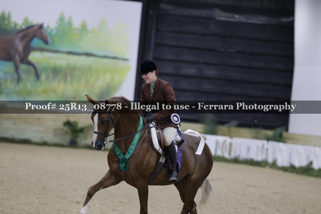 Proof Number 25R13_08778