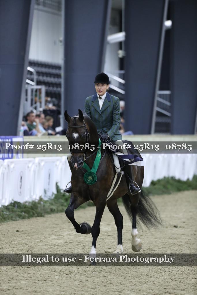 Proof Number 25R13_08785