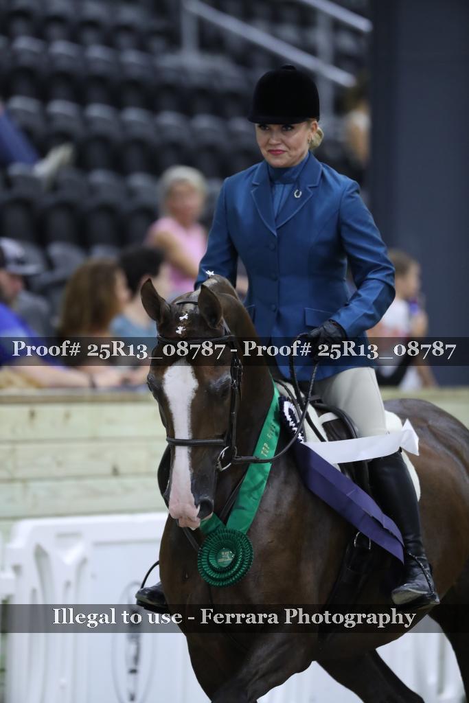 Proof Number 25R13_08787