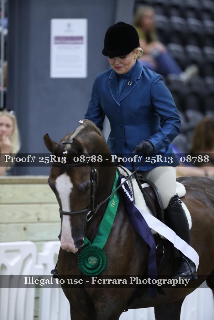 Proof Number 25R13_08788