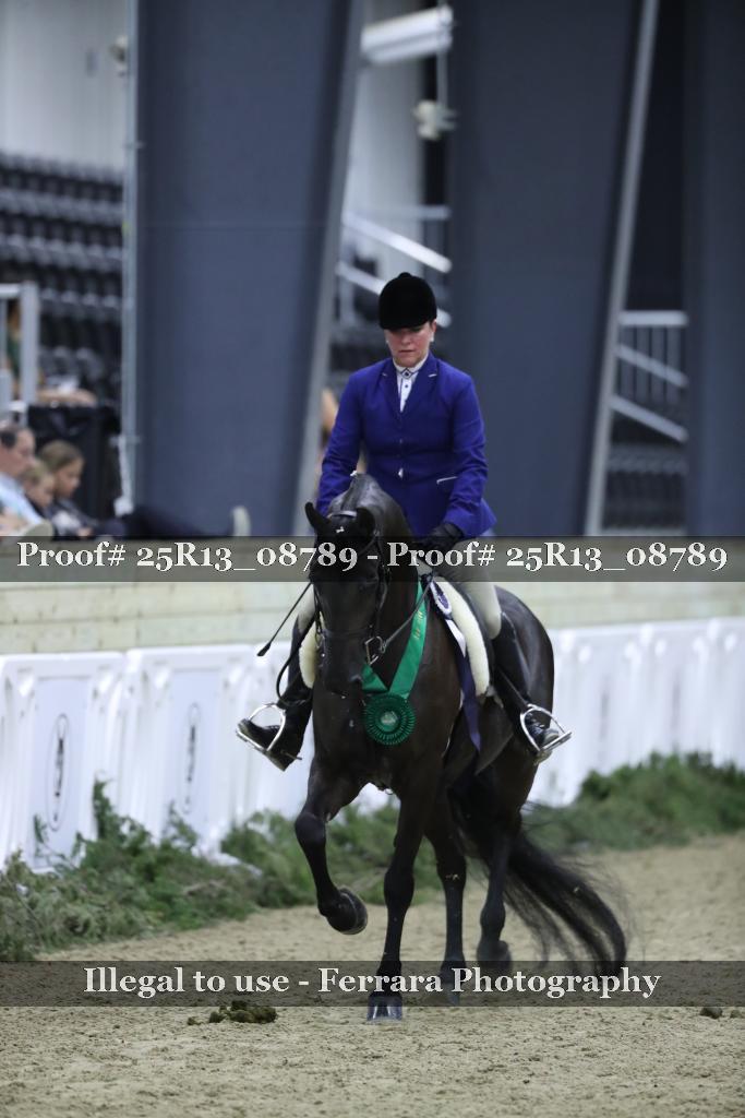 Proof Number 25R13_08789
