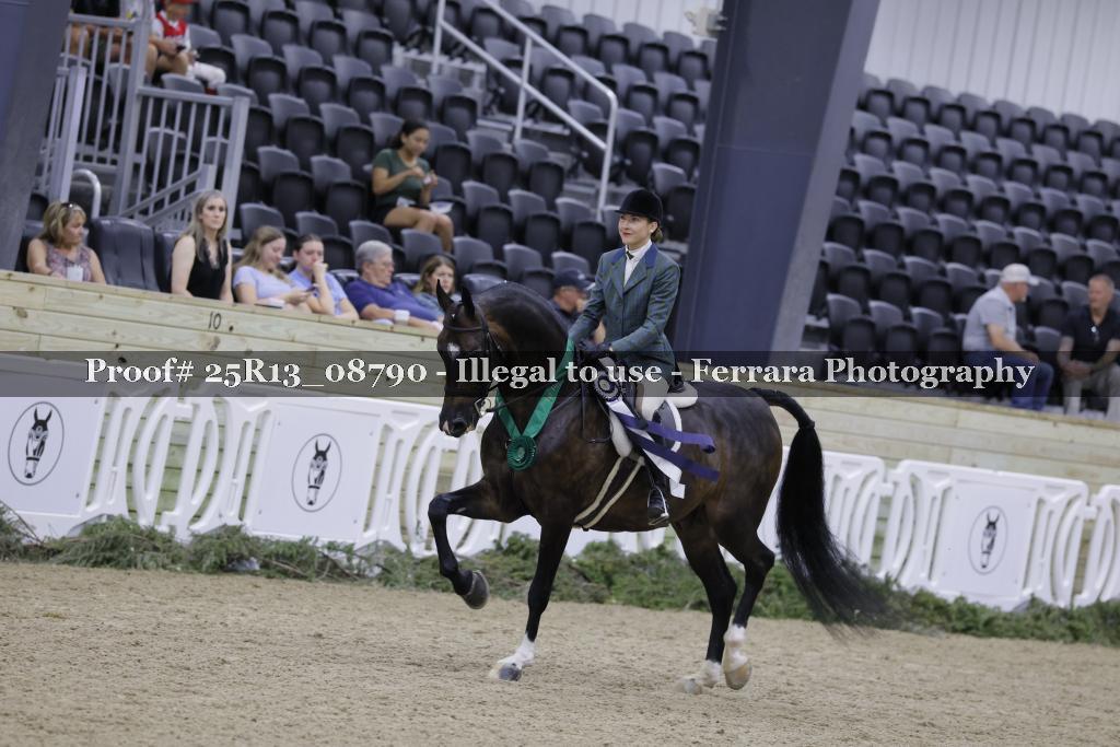 Proof Number 25R13_08790