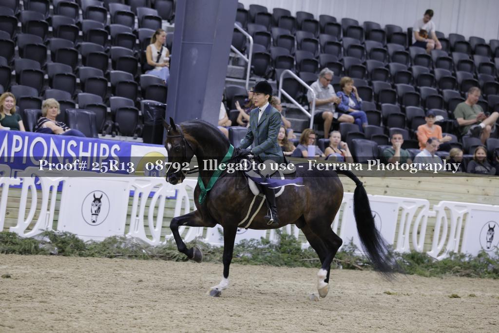 Proof Number 25R13_08792