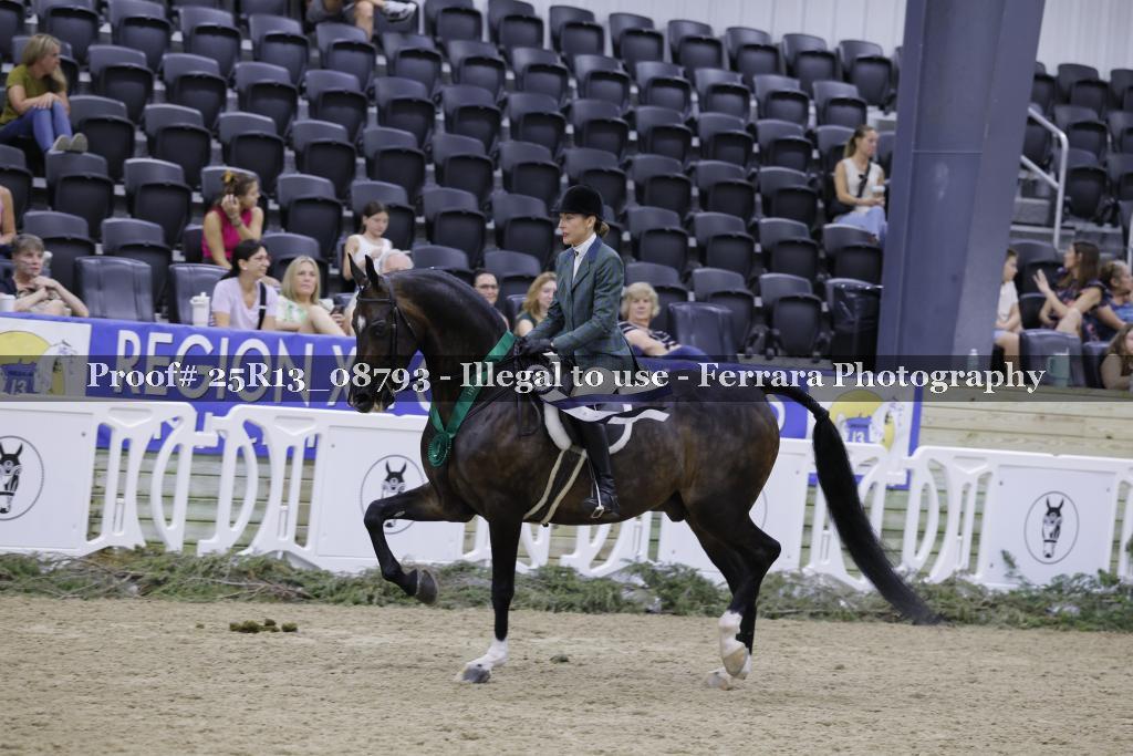 Proof Number 25R13_08793