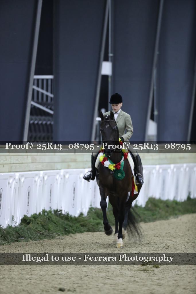 Proof Number 25R13_08795