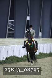 25R13_08795 thumbnail