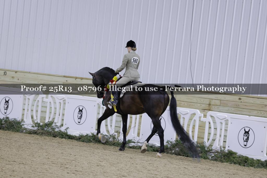 Proof Number 25R13_08796