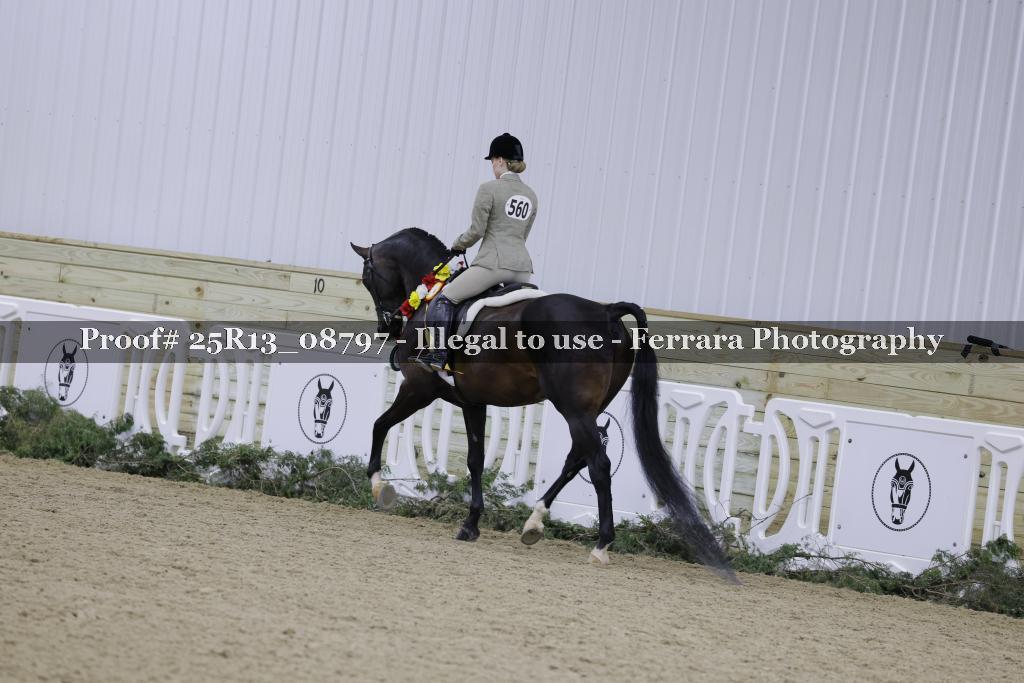 Proof Number 25R13_08797