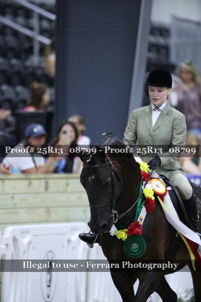 Proof Number 25R13_08799