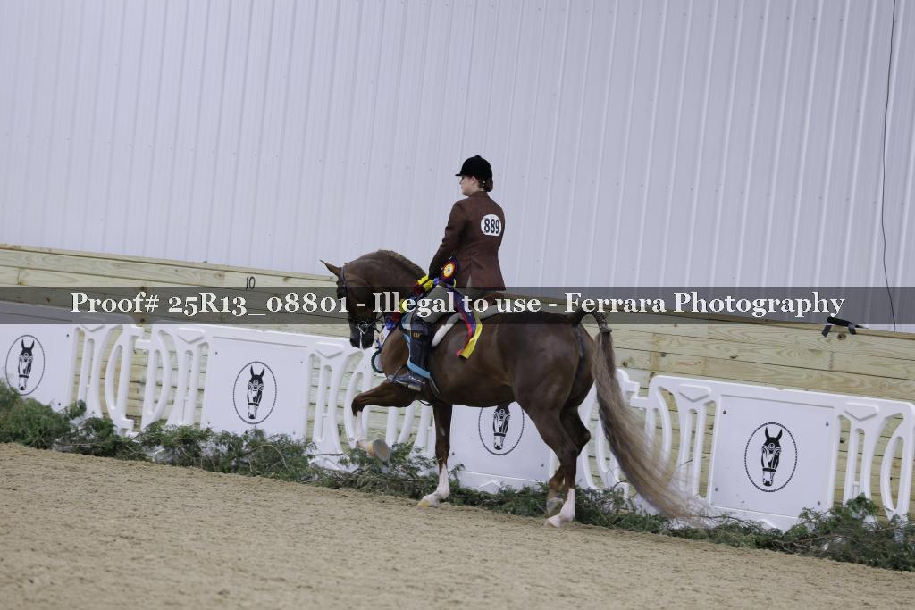 Proof Number 25R13_08801