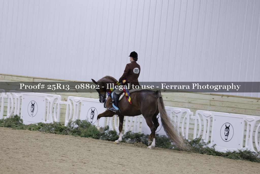 Proof Number 25R13_08802