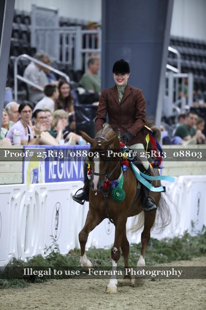 Proof Number 25R13_08803