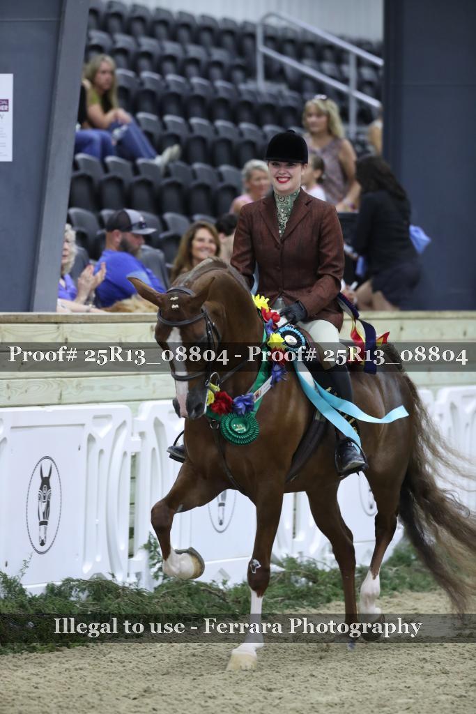 Proof Number 25R13_08804