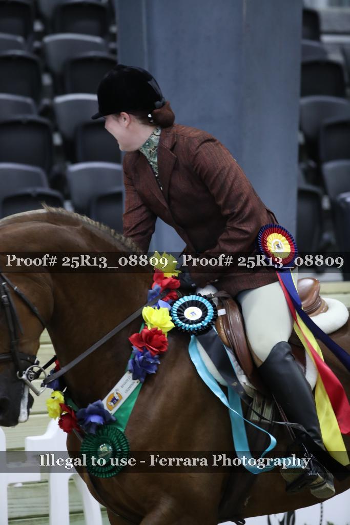 Proof Number 25R13_08809