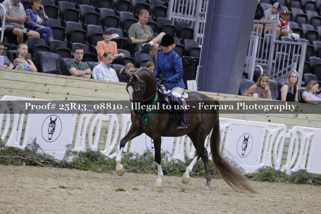 Proof Number 25R13_08810