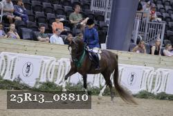 25R13_08810 thumbnail