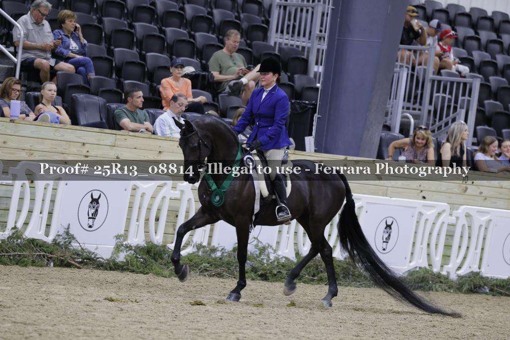 Proof Number 25R13_08814