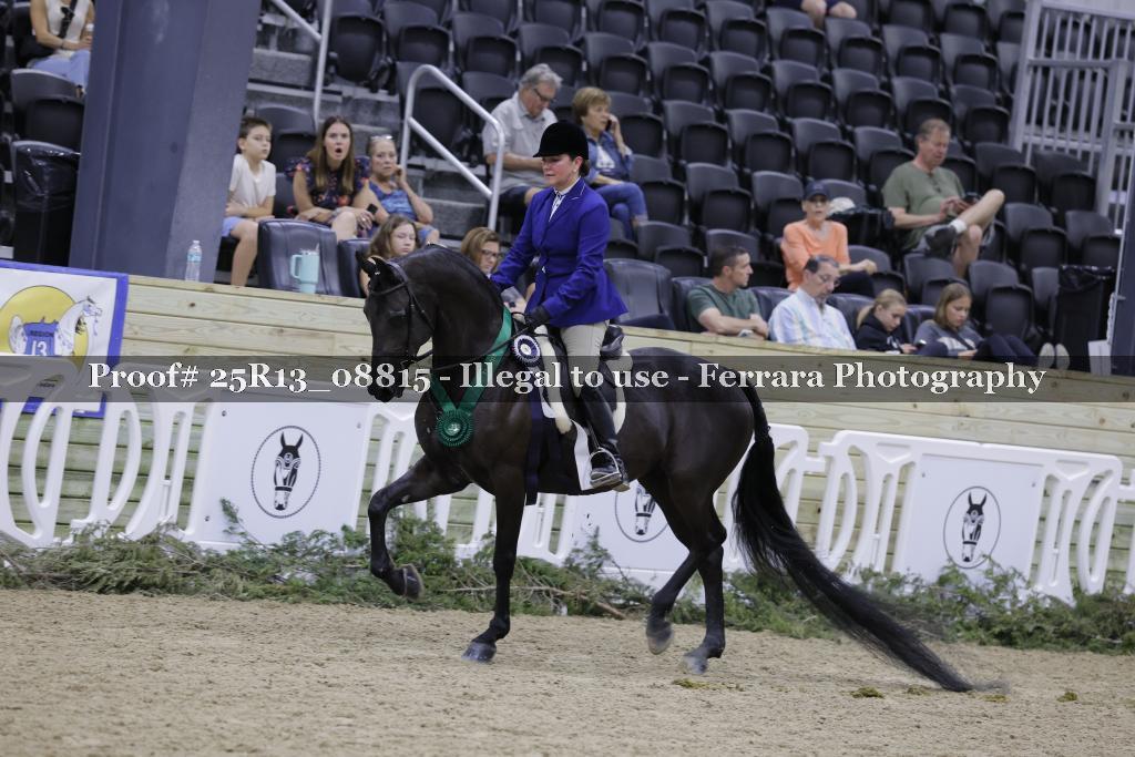 Proof Number 25R13_08815