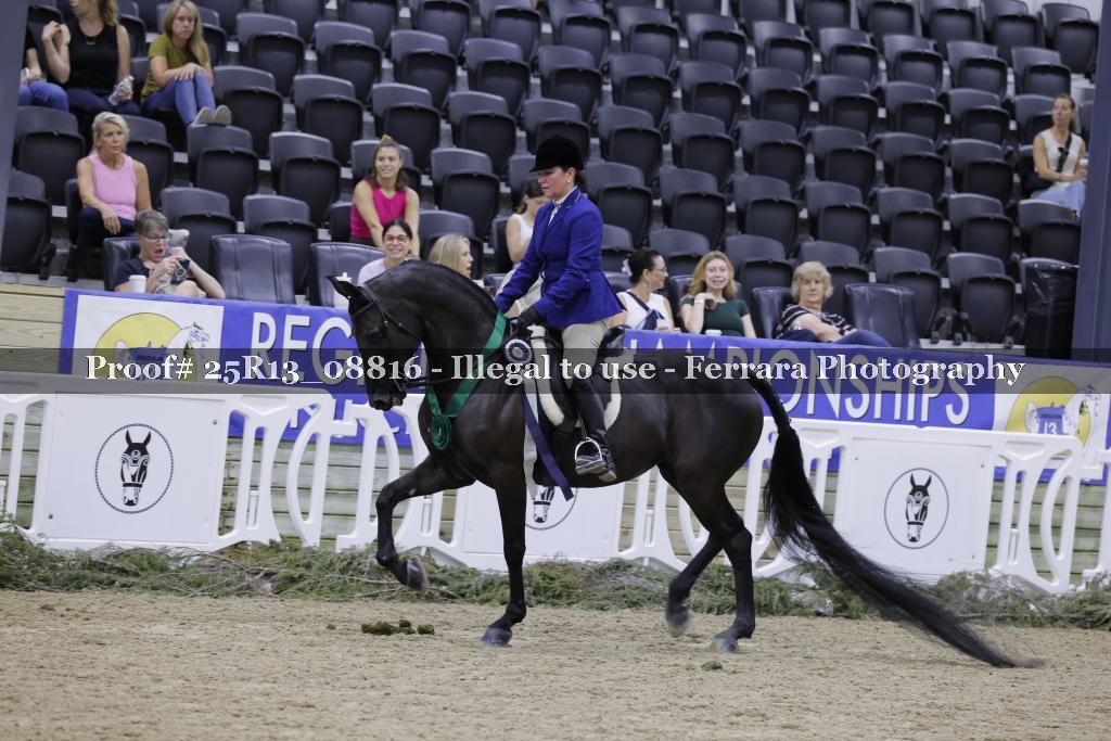 Proof Number 25R13_08816