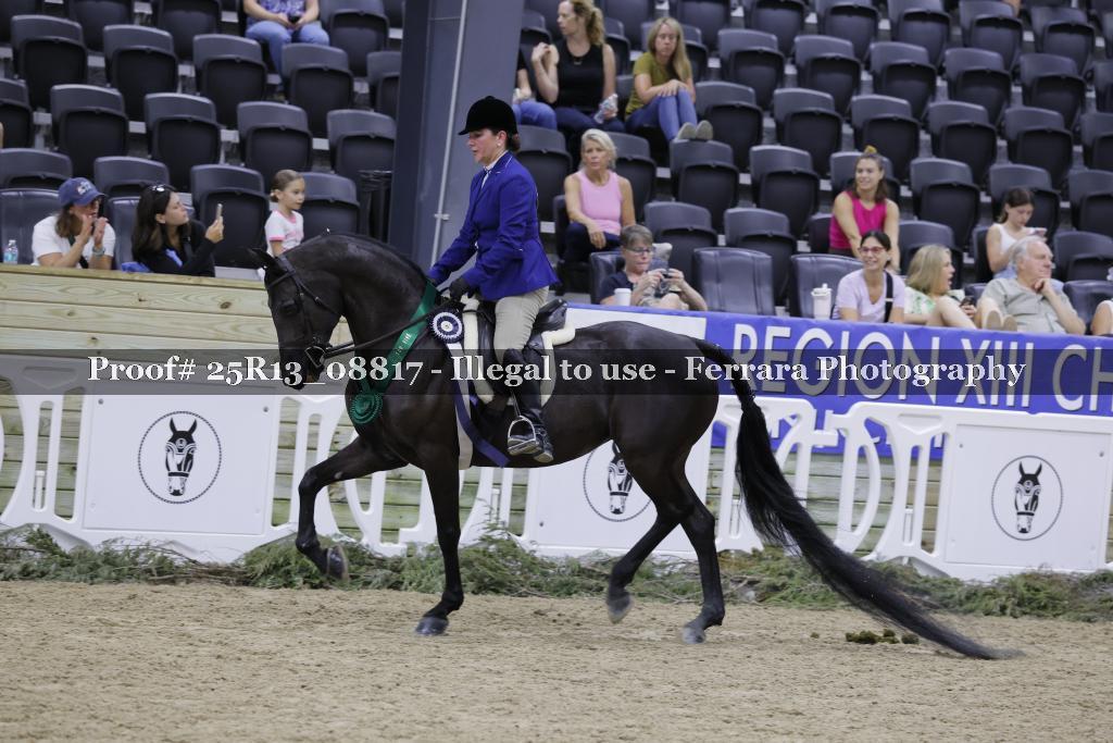 Proof Number 25R13_08817